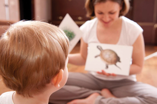 article image showing -Woman showing flashcards to child, teaching about animals for preschool learning