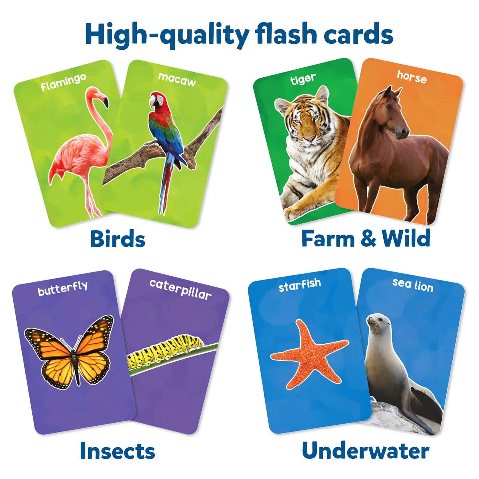 Educational flashcards showing First 100 Animals for toddlers ages 1 to 4
