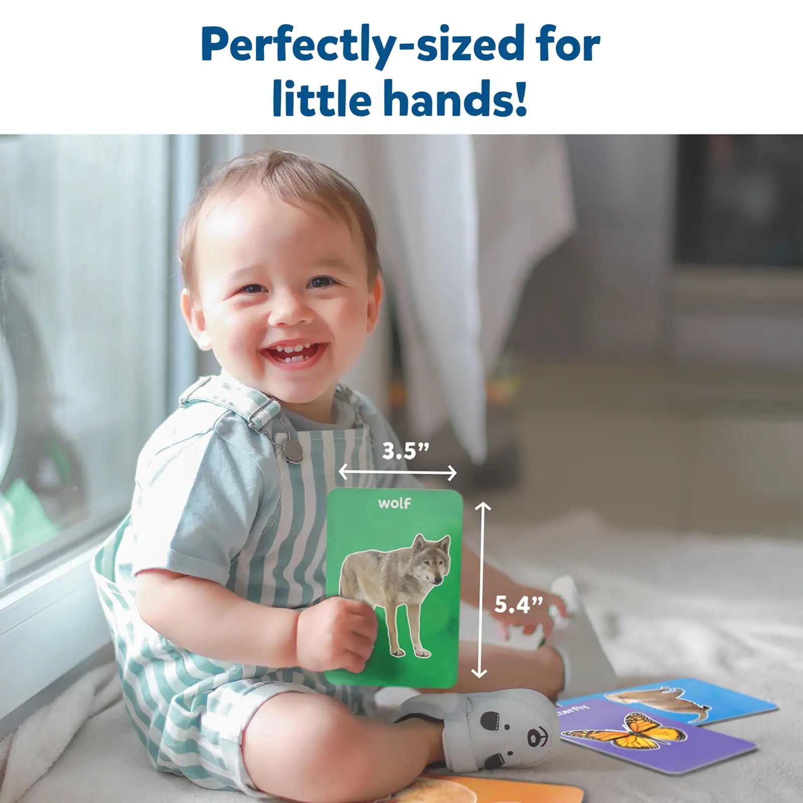 Animal flashcard from First 100 Animals flash cards for toddlers ages 1 to 4