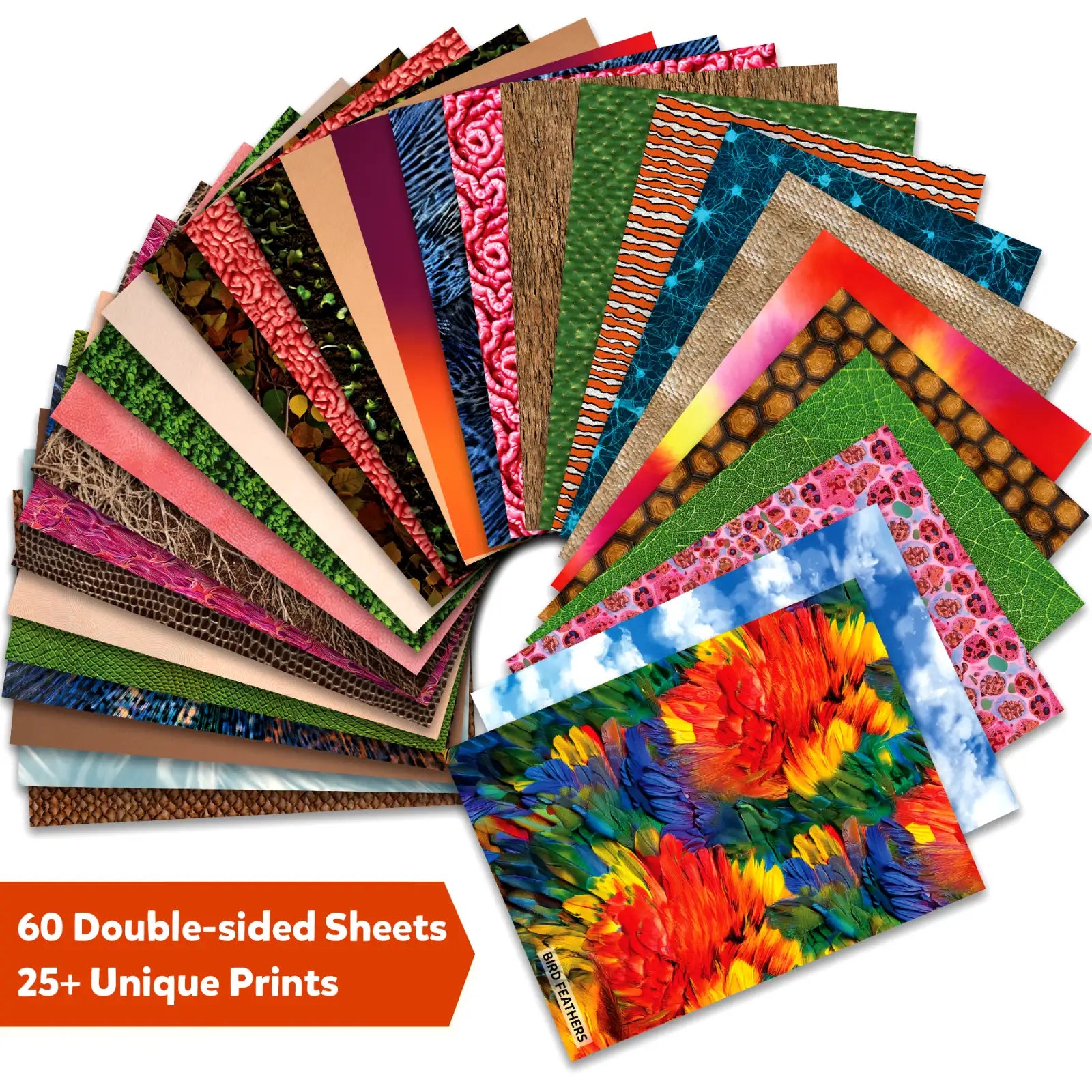 Clever Prints: Life Science | Construction Paper (60 Sheets)