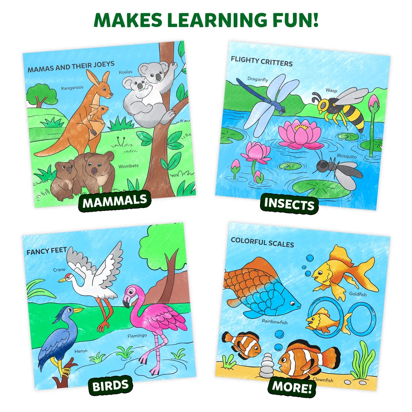 Color and Learn: Animals | Colouring Book (ages 3-6)