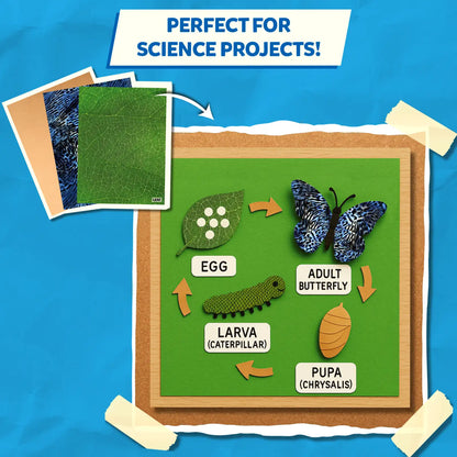 Clever Prints: Life Science | Construction Paper (60 Sheets)