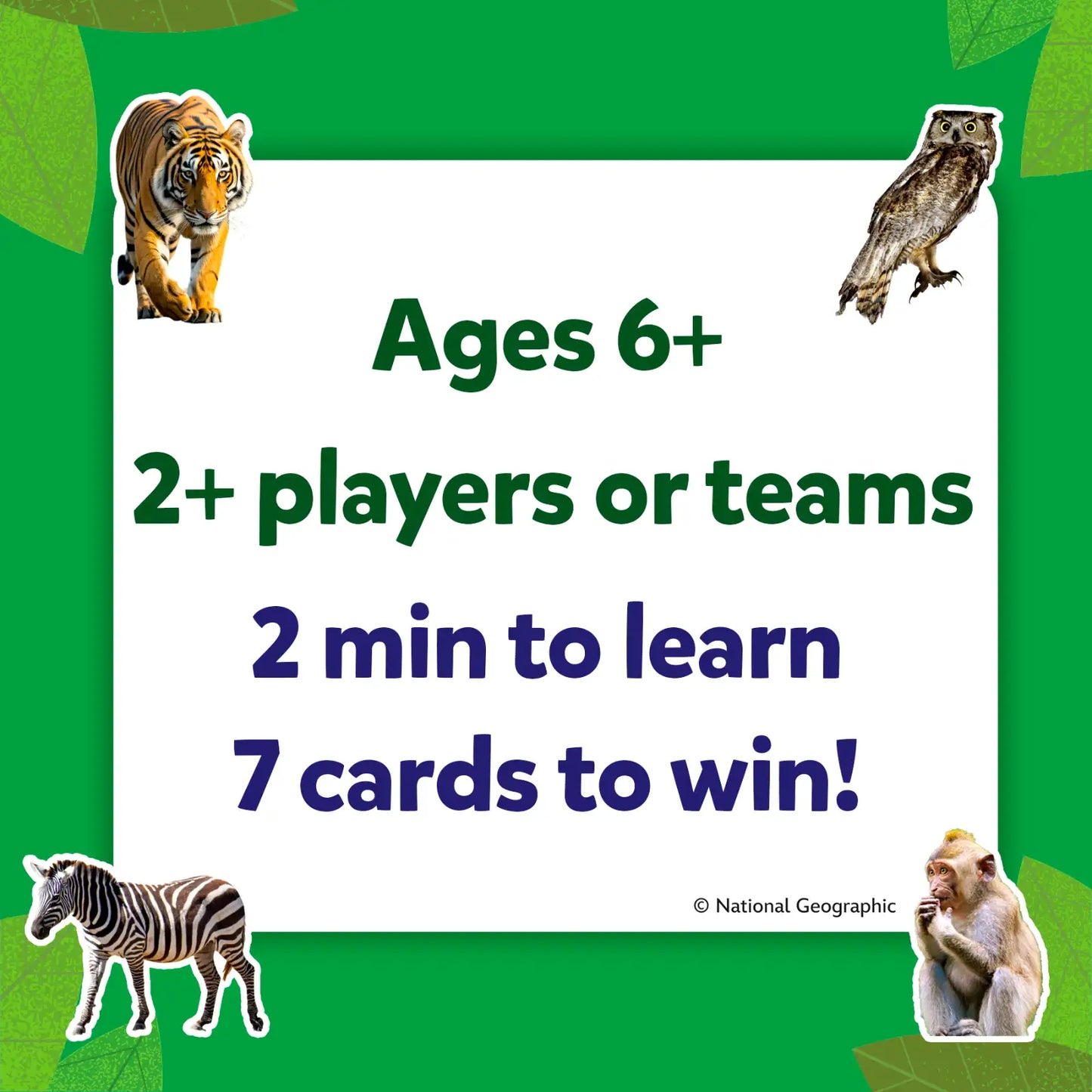 Guess in 10: National Geographic Animals | Trivia Card Game (ages 6+)