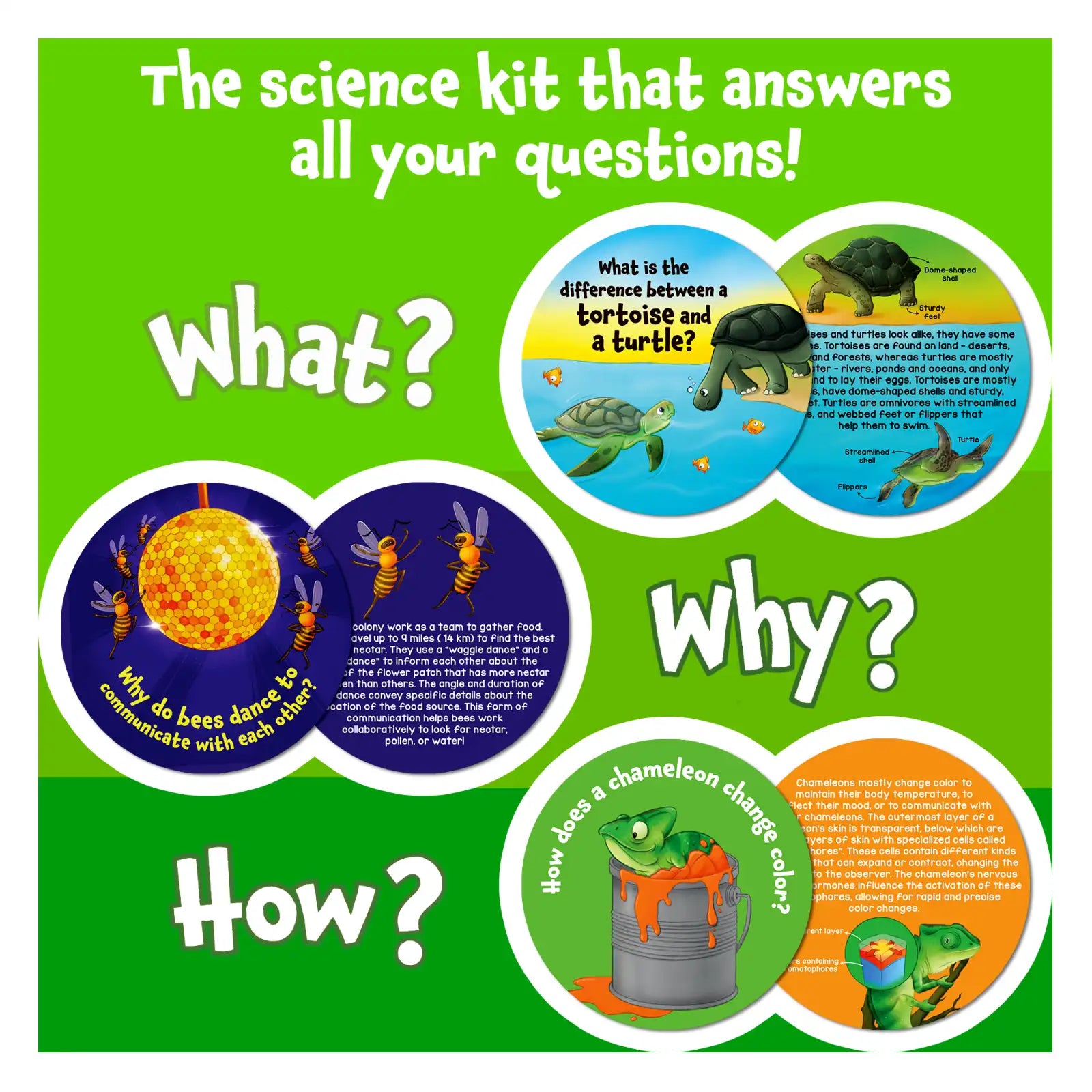 Science Snippets Animals and Multiplication Flash Cards advertisement showcasing educational science kit