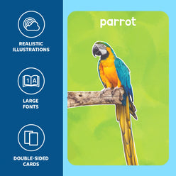 Educational parrot flashcard from Flash Cards for Toddlers First 100 Animals for ages 1 to 4