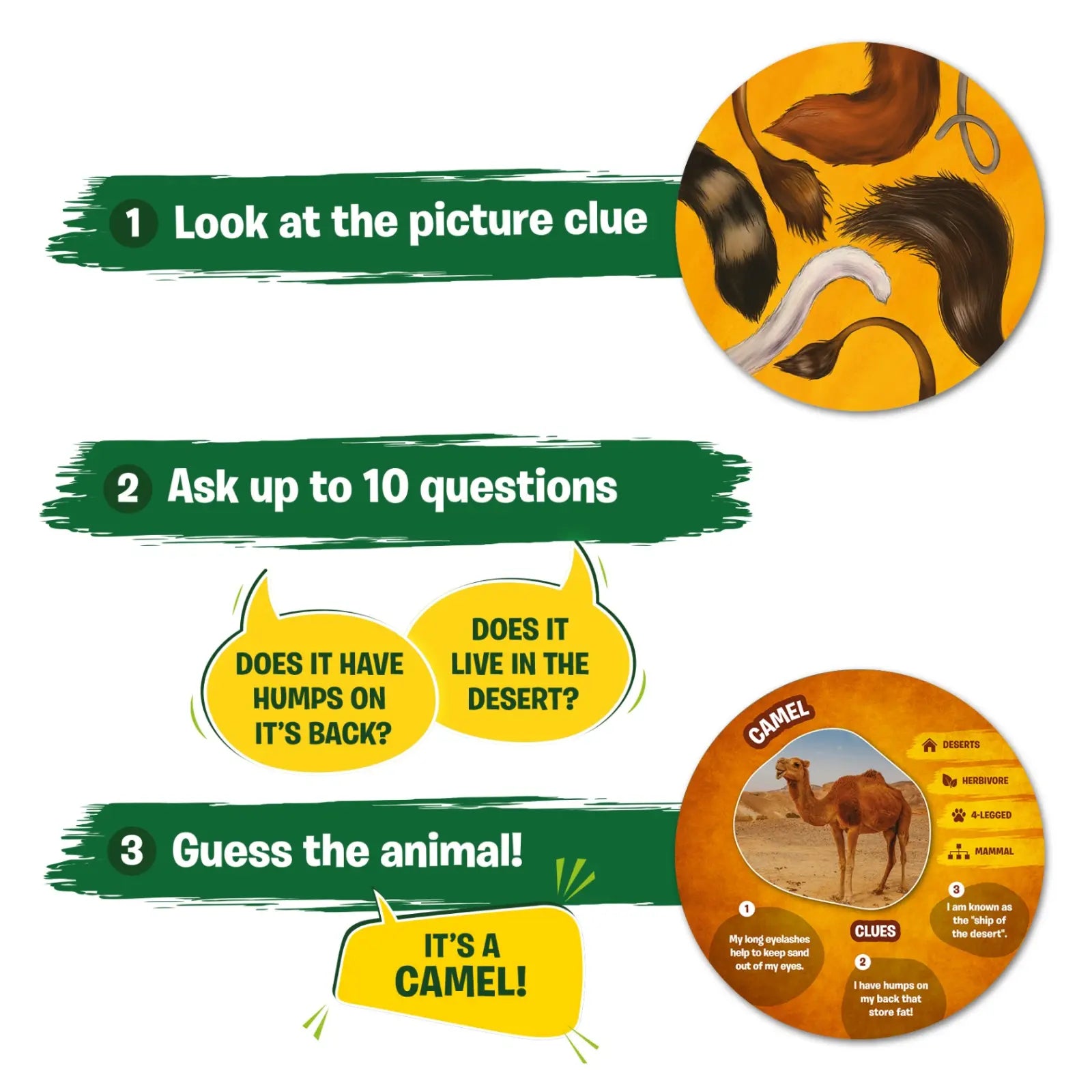 Guess in 10: Picture Clues Animal Planet | Trivia card game (ages 6+)