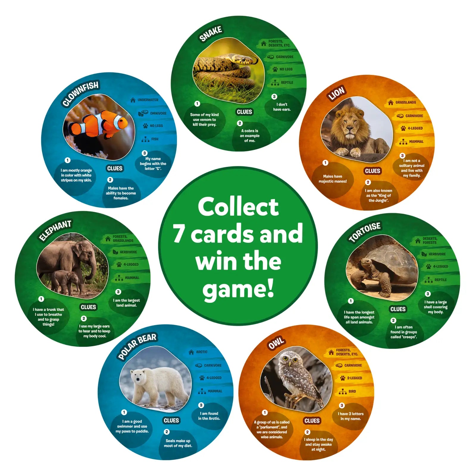 Guess in 10: Picture Clues Animal Planet | Trivia card game (ages 6+)