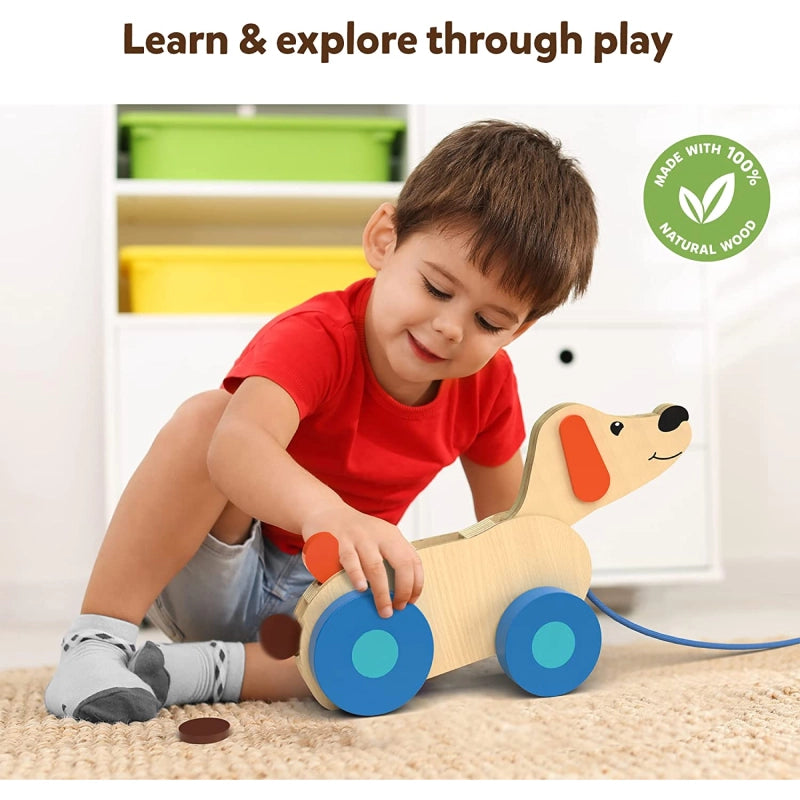 Pooping Puppy | Pull-along Toddler Toy (18 months+)