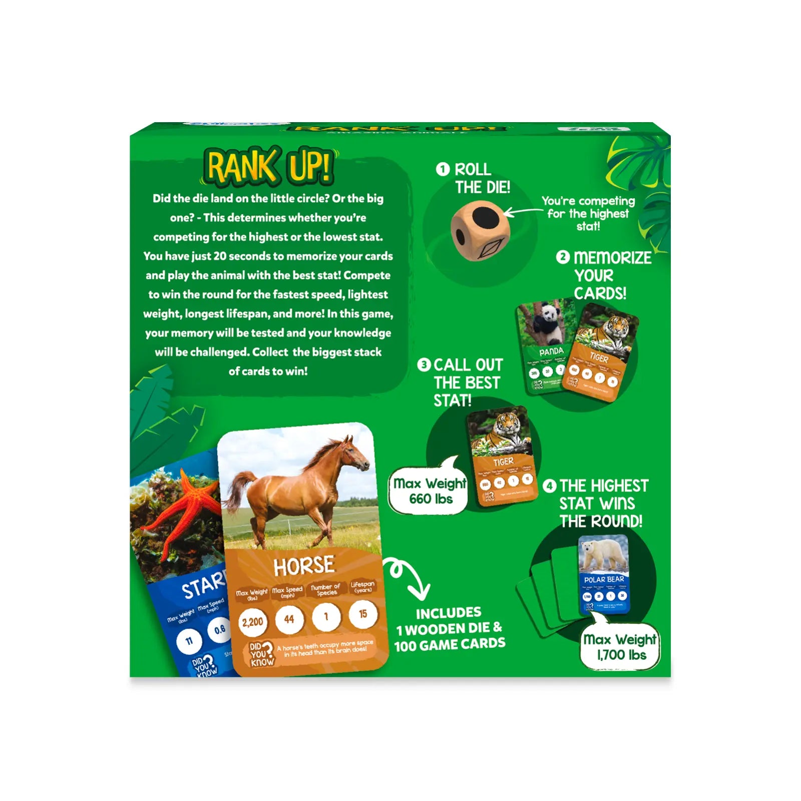 Rank Up: Amazing Animals | Trump Card Game (ages 7+)