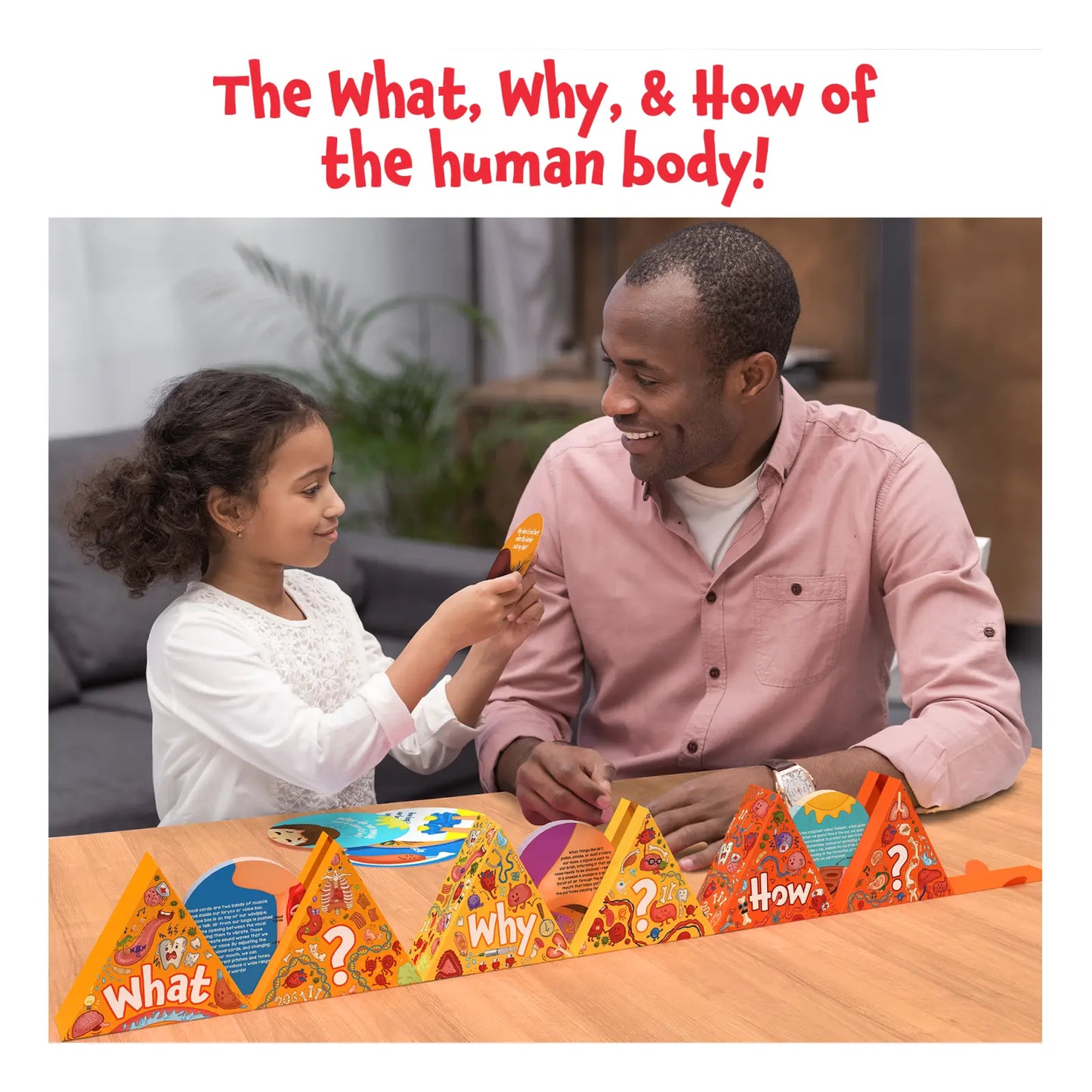 Science Snippets Kit - The Human Body (Ages 7+)