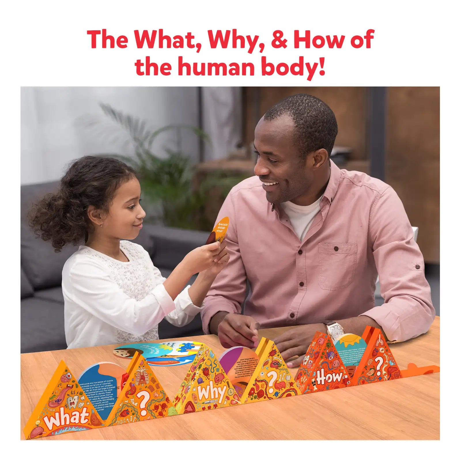 Science Snippets Kit - The Human Body (Ages 7+) – Skillmatics US Science Snippets Kit - The Human Body (Ages 7+) – Skillmatics US