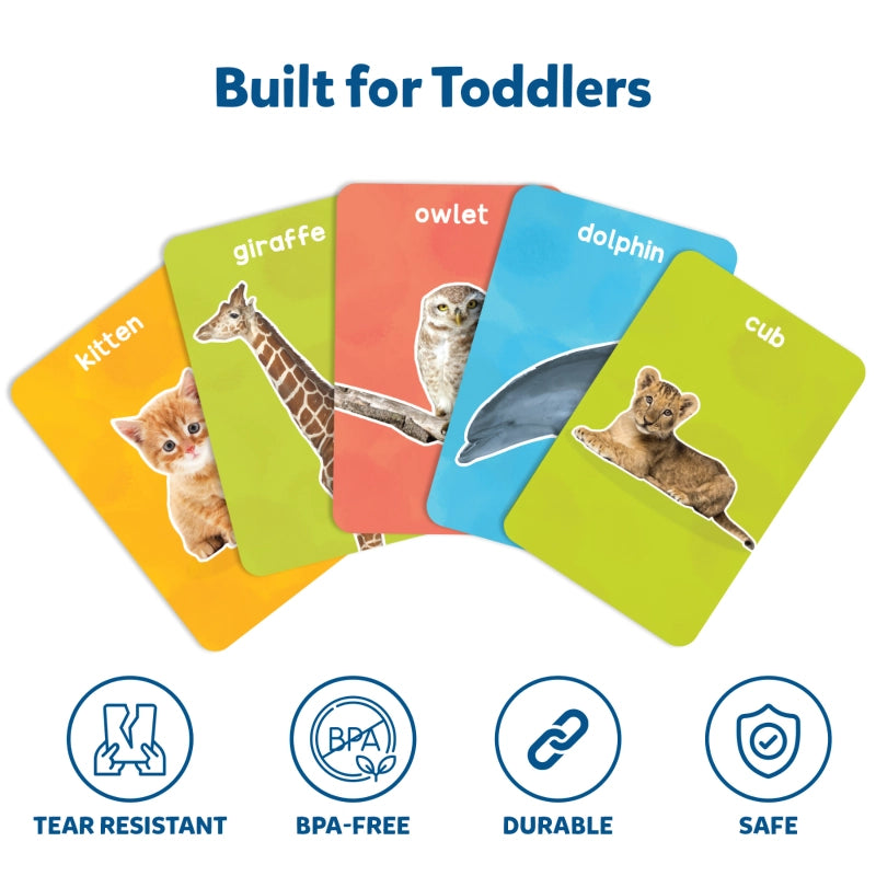 Flash Cards Combo: Animals & Their Babies, Letters & Words (ages 1-4)