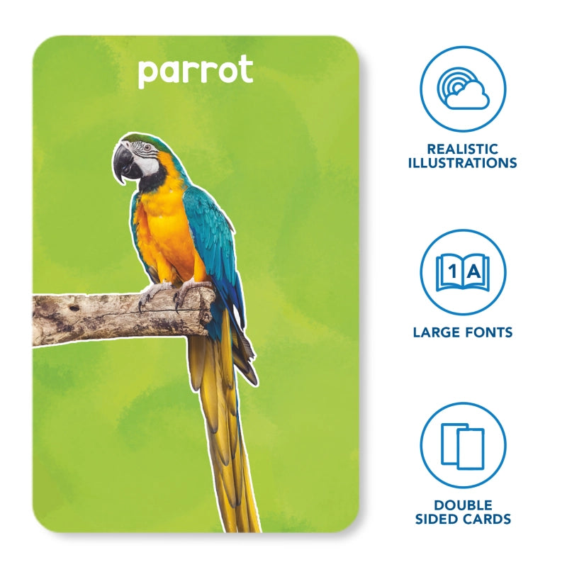 Flash Cards Combo: Animals & Their Babies, Letters & Words (ages 1-4)
